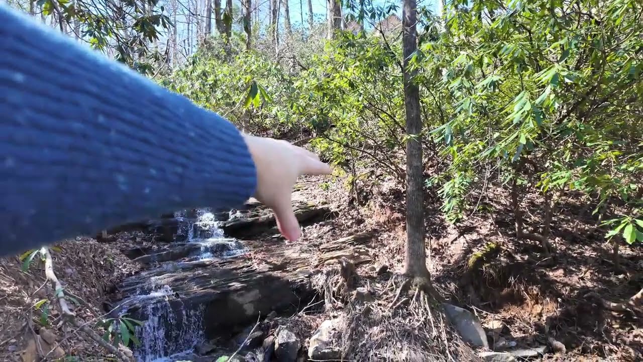 Spring Garden Tour: Waterfall & Woodland Garden in Western North Carolina