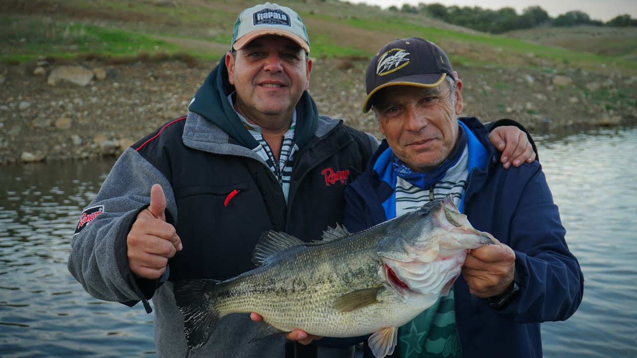 Lomos negros de Navallana | Pesca en superficie