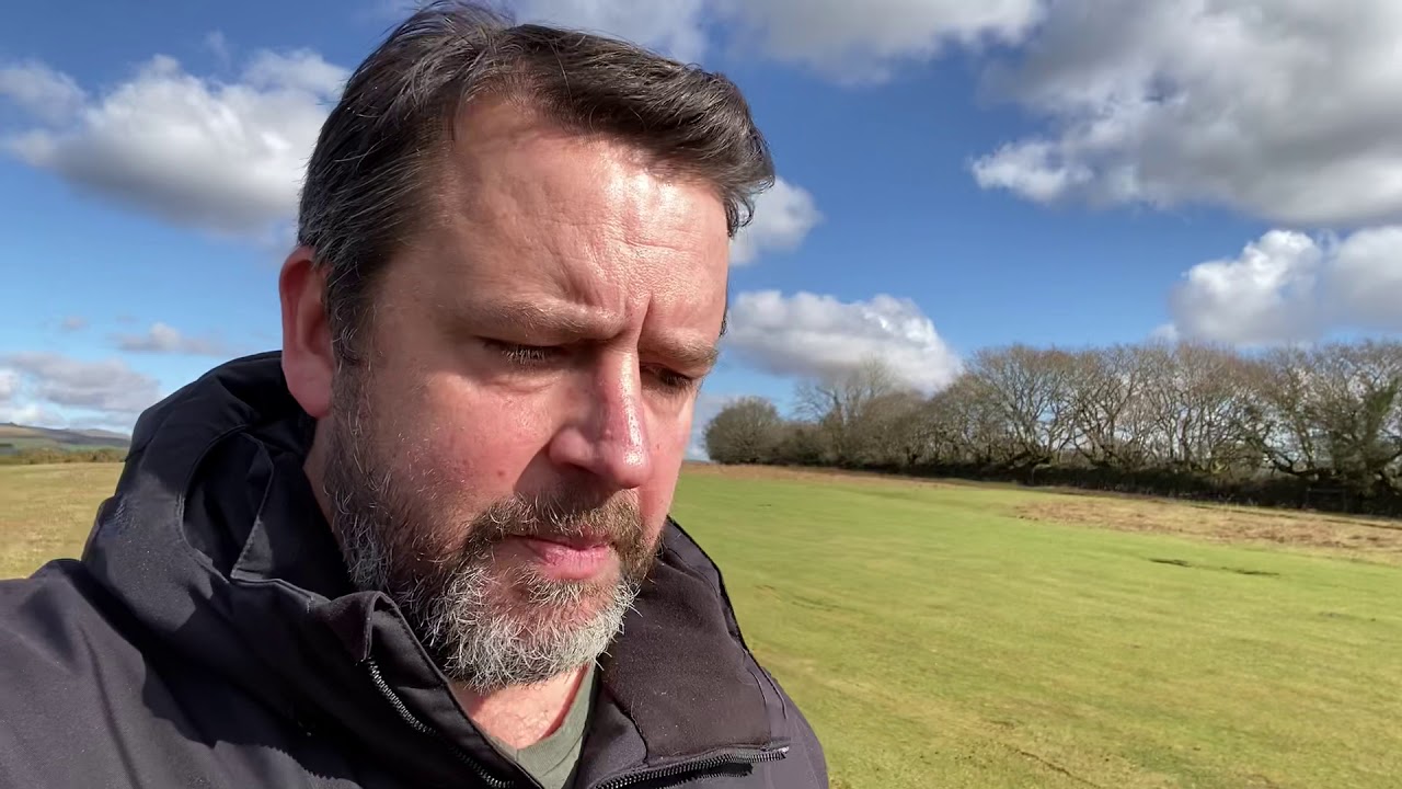 How we can work to stop dogs from chasing sheep or other animals through education and real training