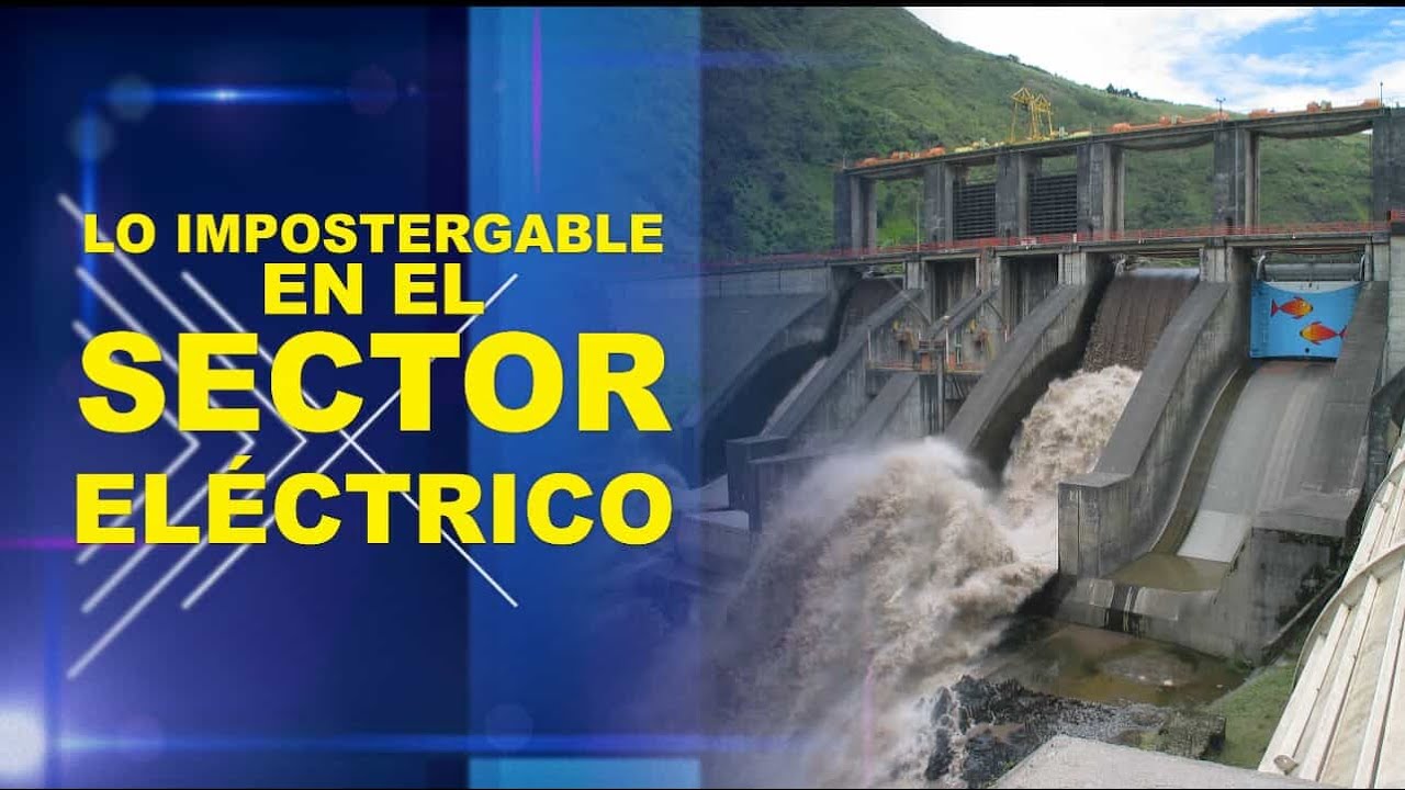 VASM - Lo impostergable en el sector eléctrico