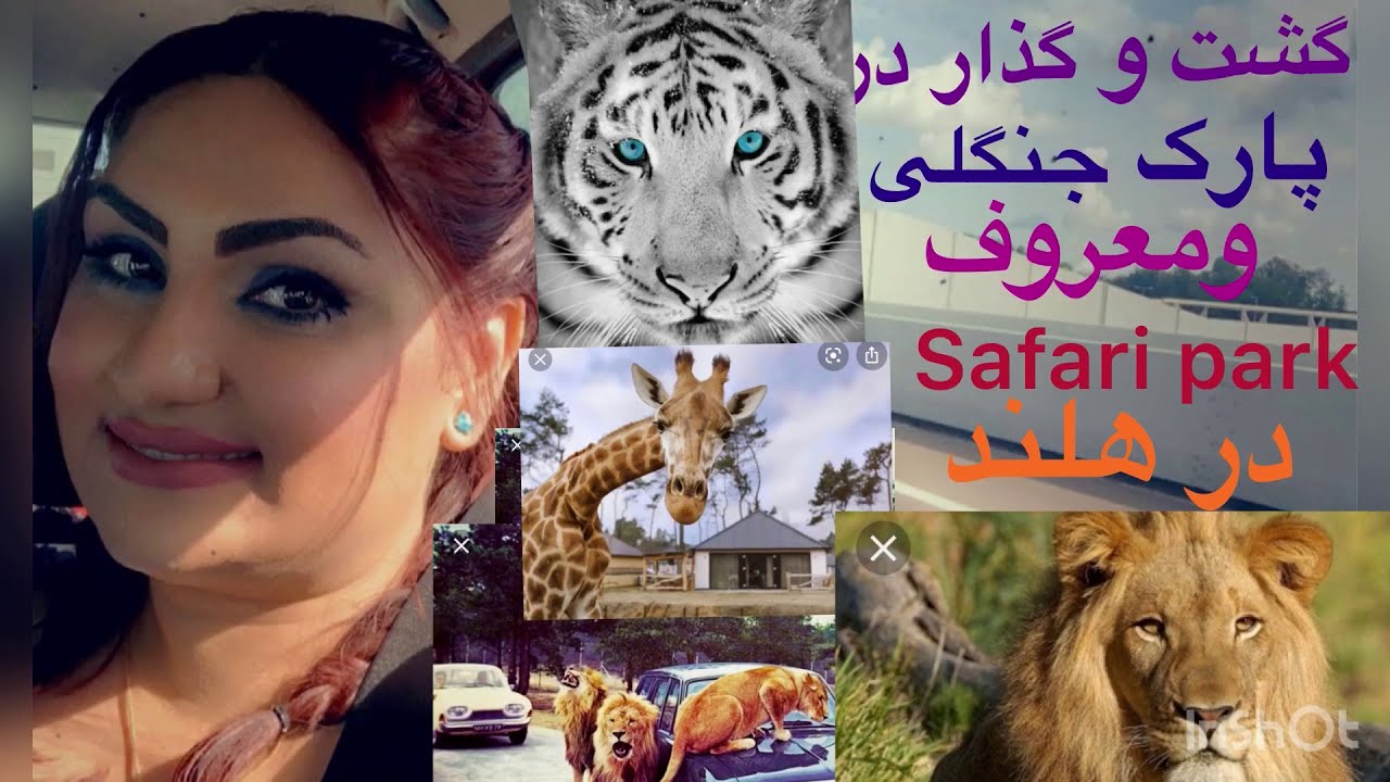 دیدن  از حیوانات وگردش  در پارک جنگلی ومعروف safaripark در هلند