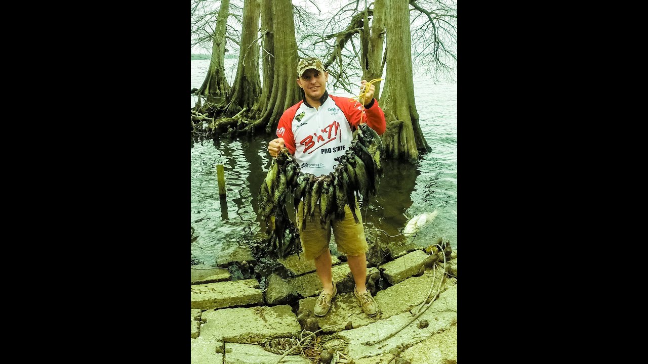 Crappie Fishing for black crappie at Reelfoot Lake, April 12, 2014