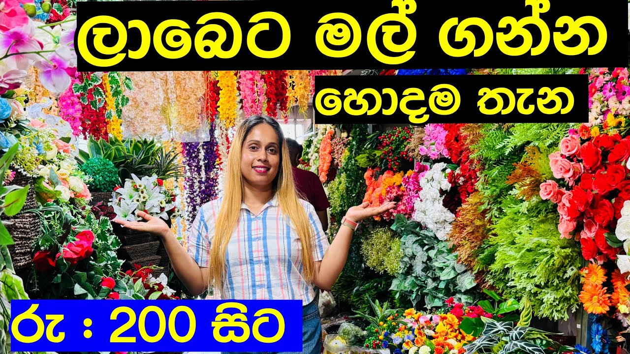 ලාබෙට මල් ගන්න හොදම තැන | Flower Shop Pitakotuwa | Flower Street