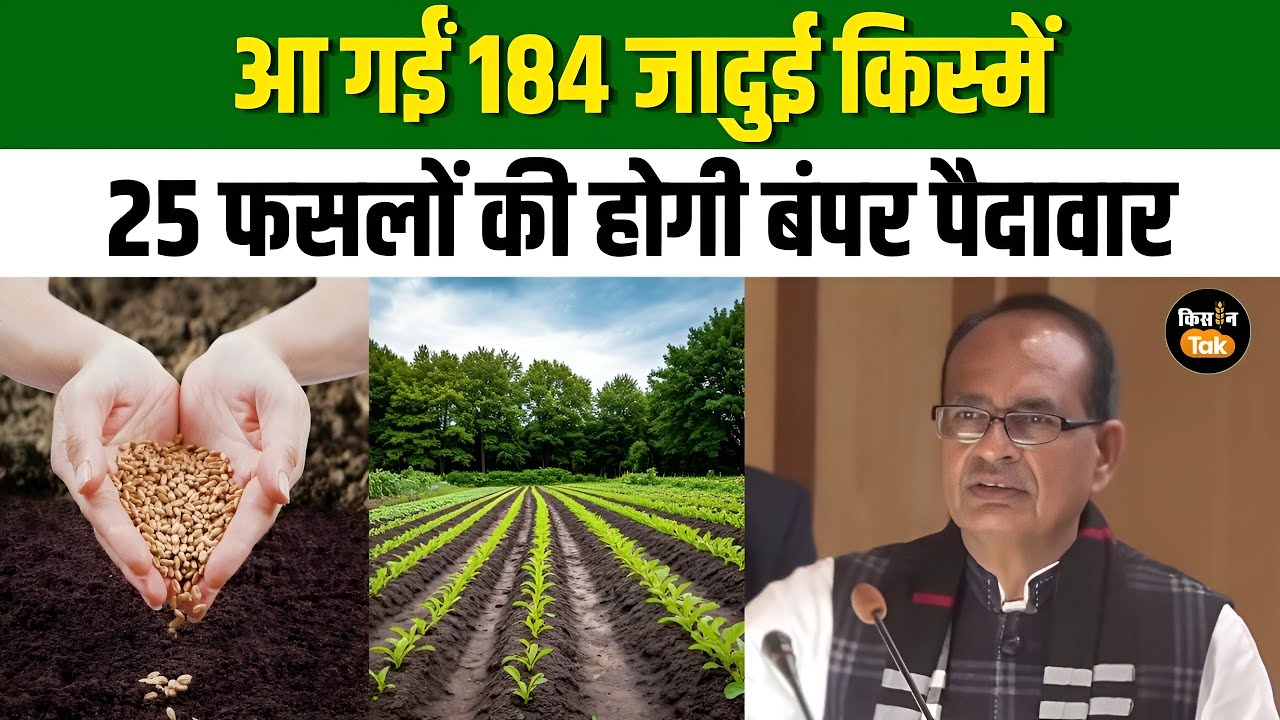 ICAR ने किसानों को दिया तोहफा, लांच हुई अधिक कमाई वाली किस्में #farmersnews