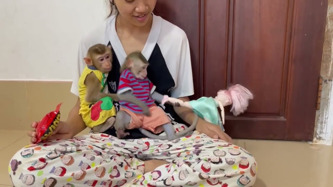 When koy & Jasmine look so sadd but mom tri to put toy playing with them