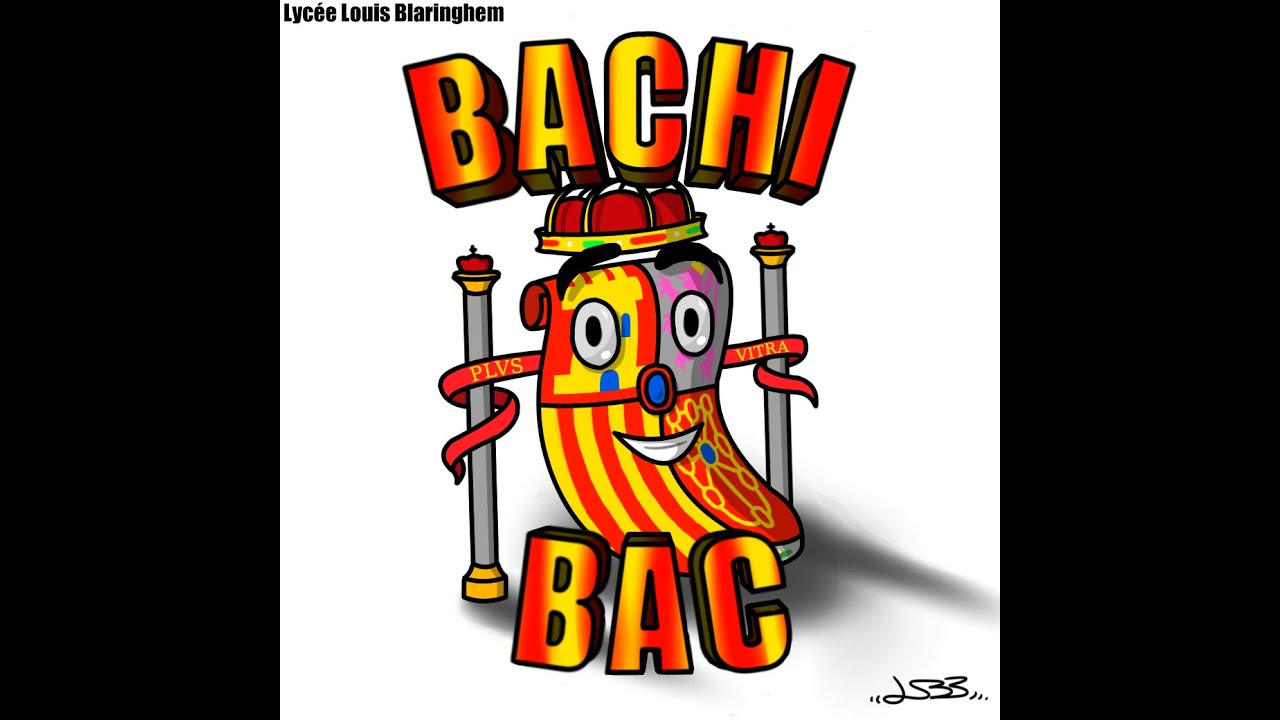 Qu’est ce que la section bachibac vidéo