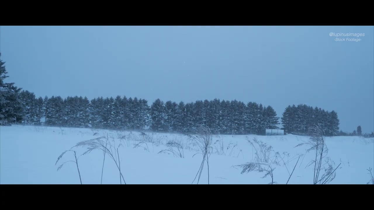 3月「冬の嵐」