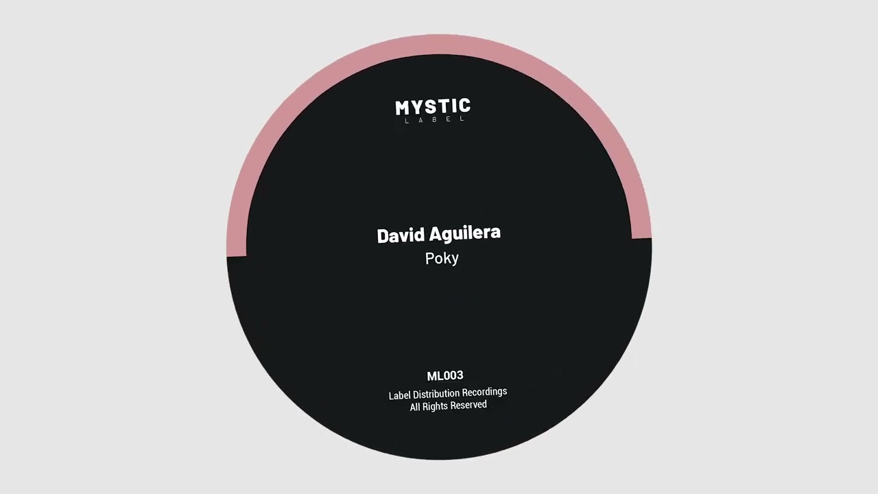 David Aguilar - Poky (Original Mix)