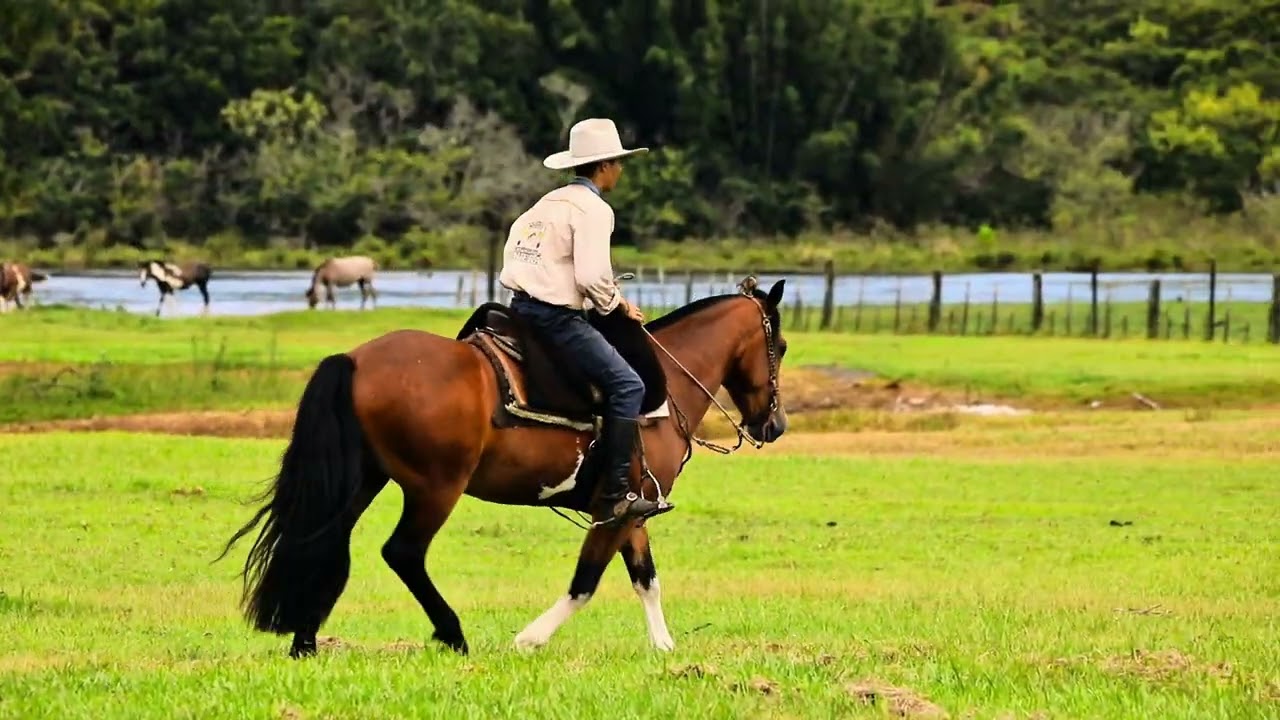 Osso Duro da Estância do Caverá 