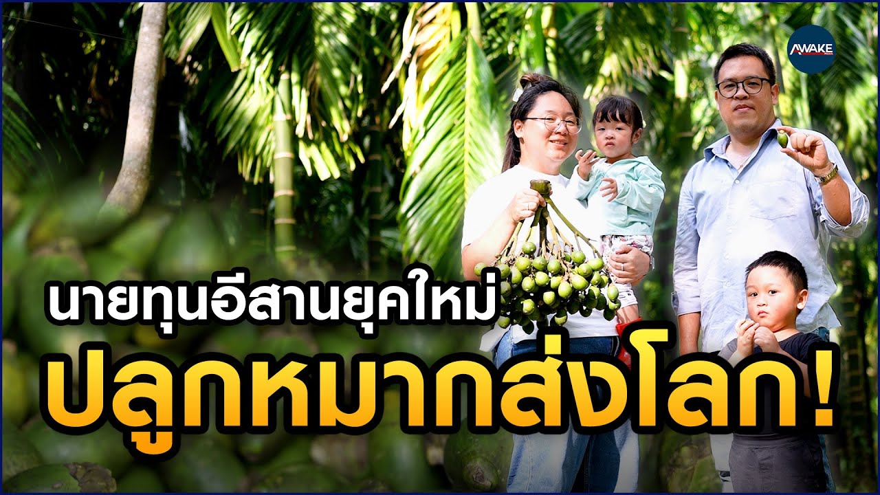 พาทัวร์ 