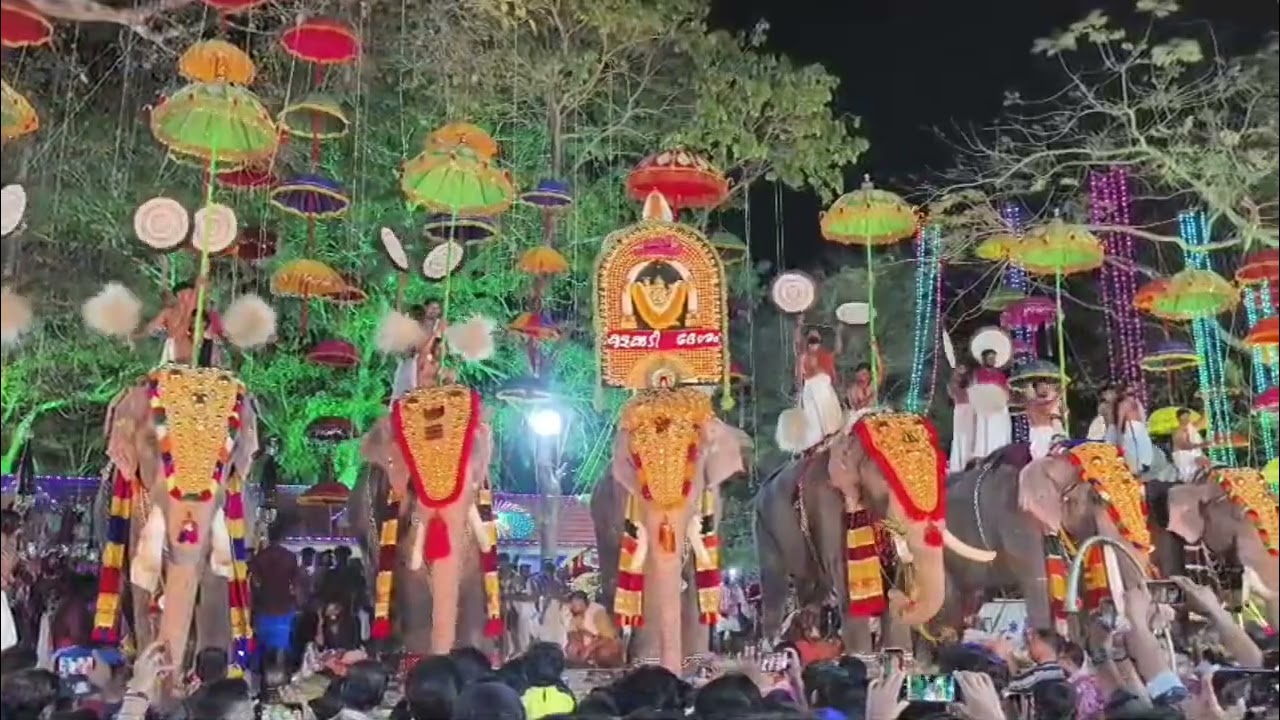 ✨മീന പൂരം ✨2026❤️