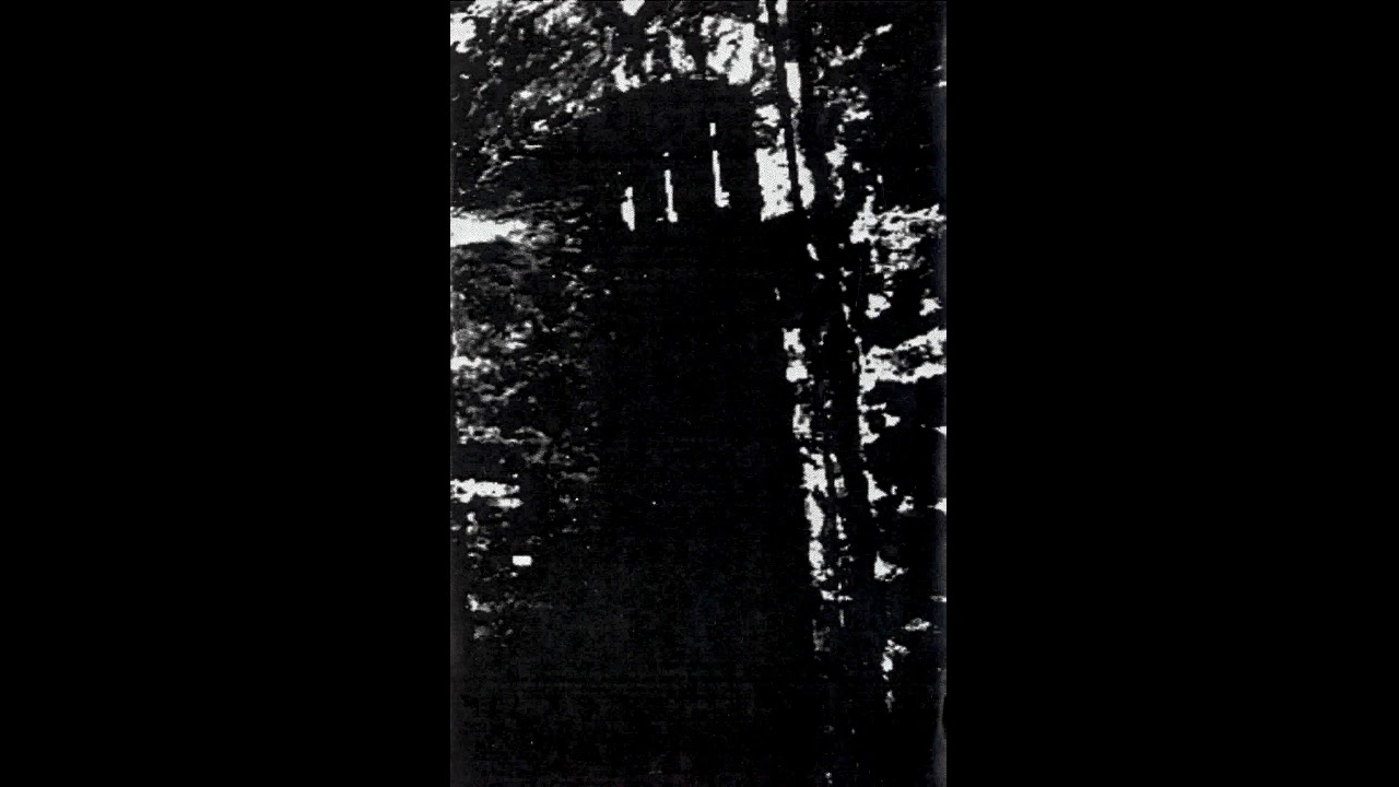 Various-Remnants Of Sacrificial Perversion [4 way split]
