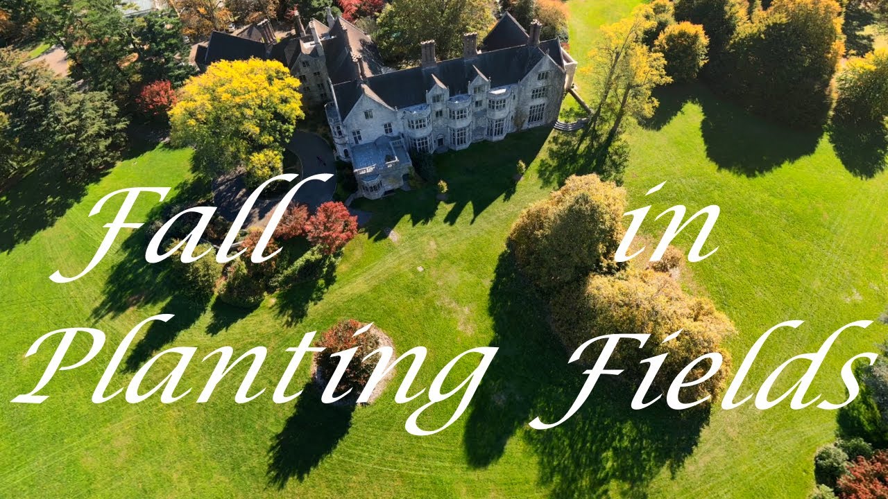 Fall in Planting Fields