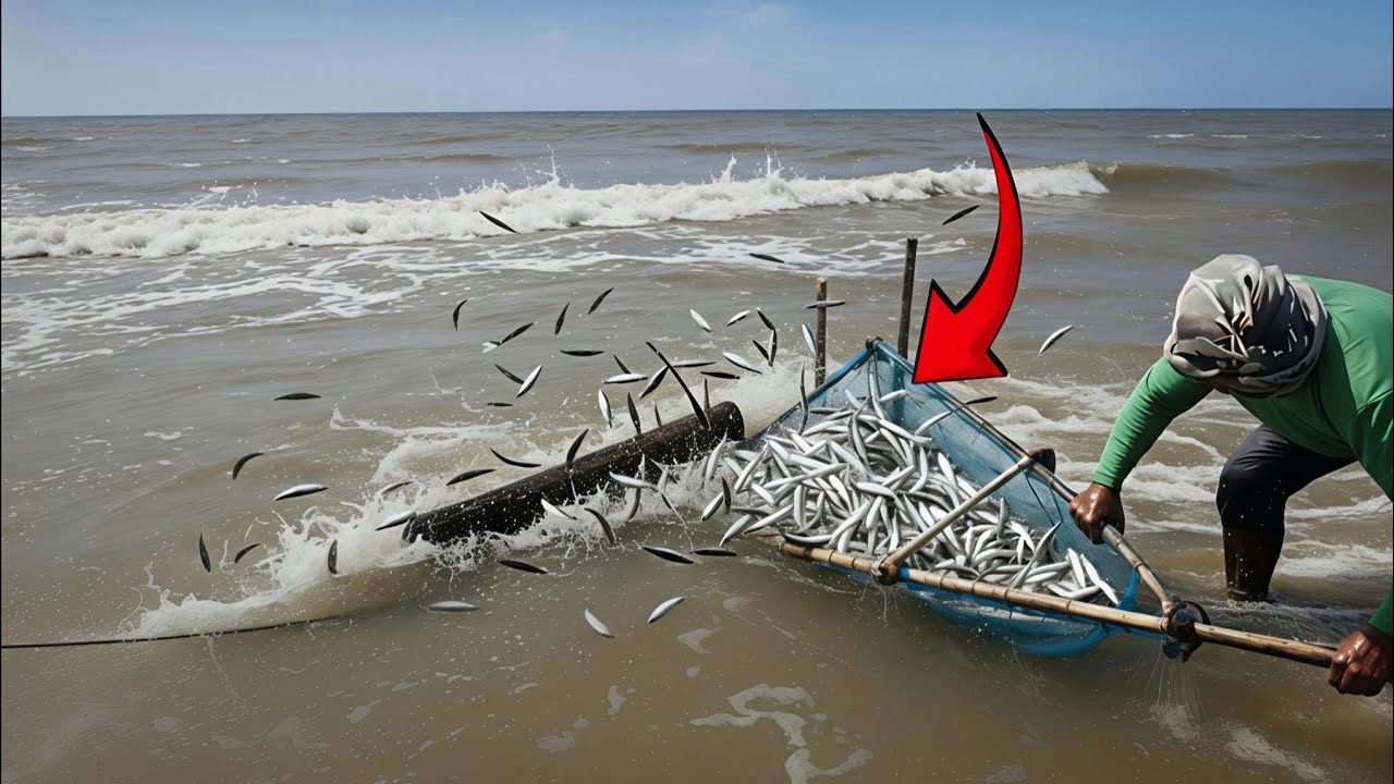 Gak Masuk Akal! Bapak Ini Cuma Pakai Alat Sederhana, Tapi Dapat Lautan Ikan Dalam Sekejap!