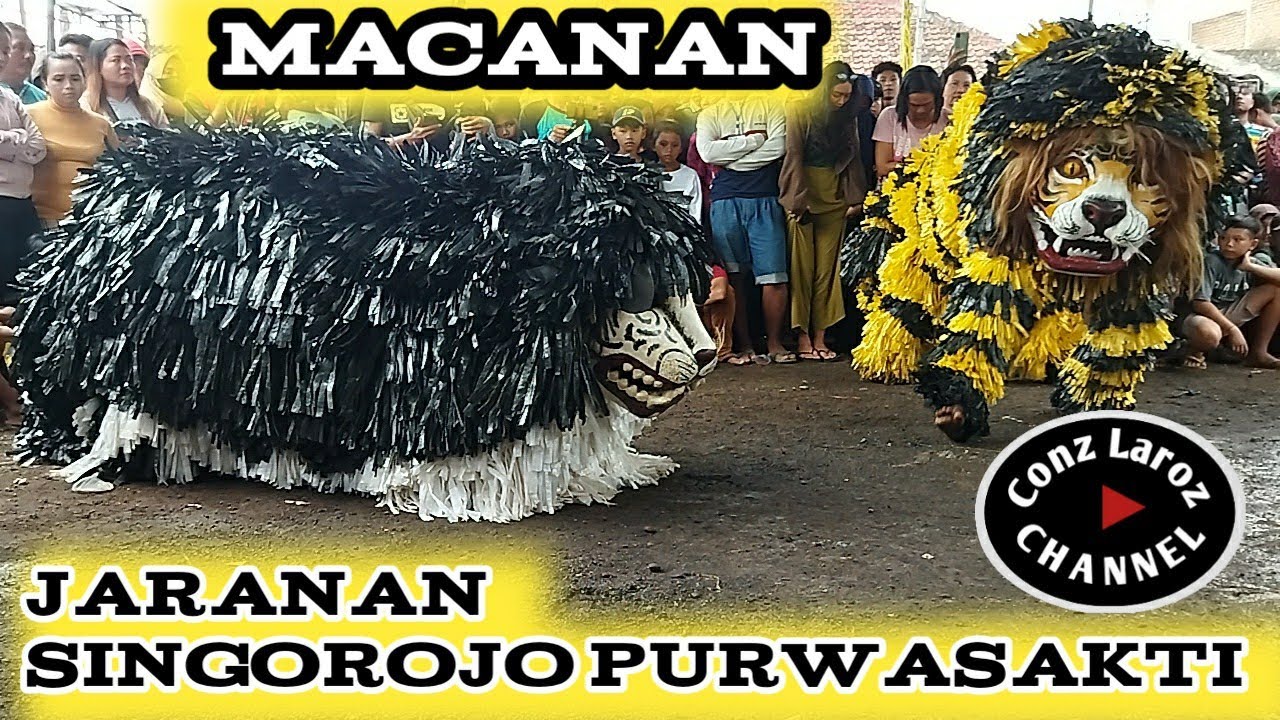 tari macan jaranan singorojo purwasakti pengatigan Rogojampi. @ConzLarozChannel