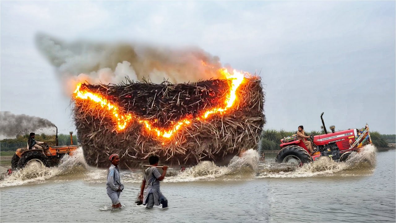 Belarus Tractor Amazing Performance | mf 385 tractor crossing river | Nadeem Vlog