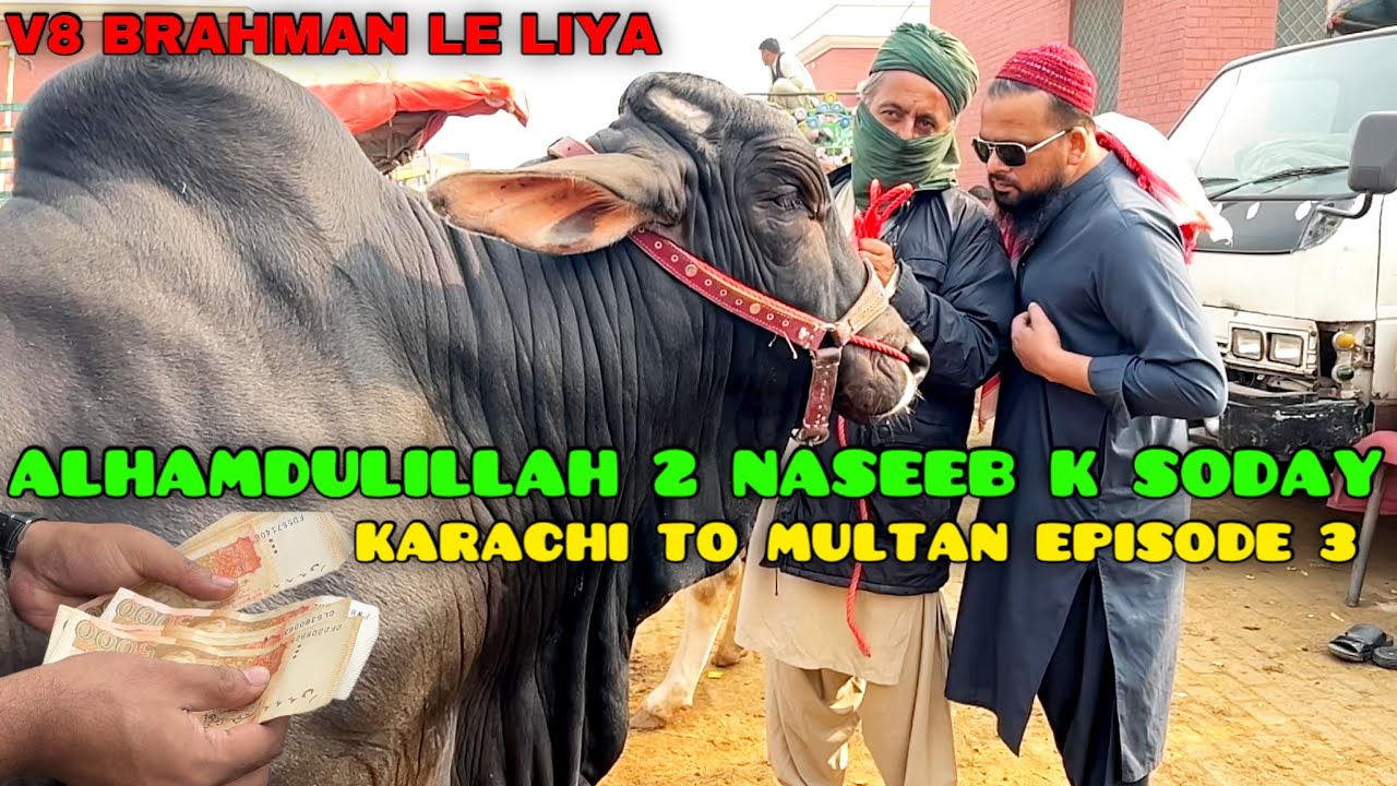 Alhamdulillah Multan Mandi Se 2 bachray Khareed Liye 😍 Karachi To Multan Bull Purchasing Vlog Epi-3