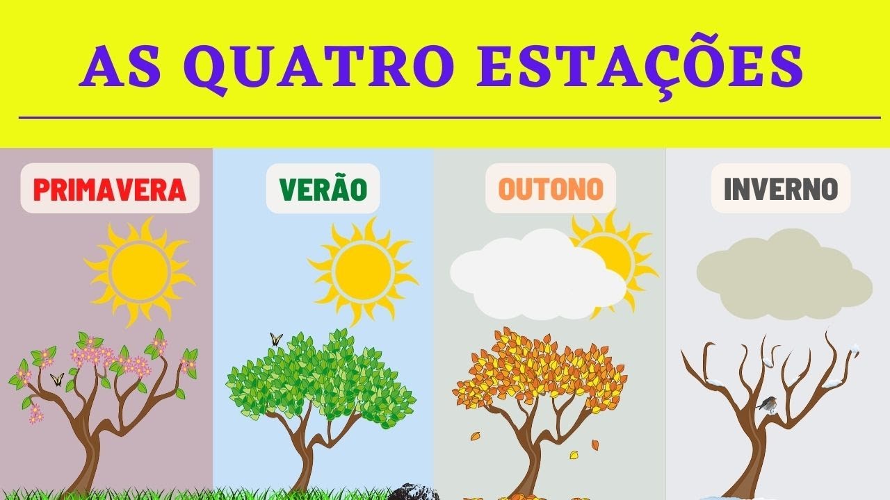 Desenho Educativo - As QUATRO ESTAÇÕES | Primavera | Verão | Outono | Inverno