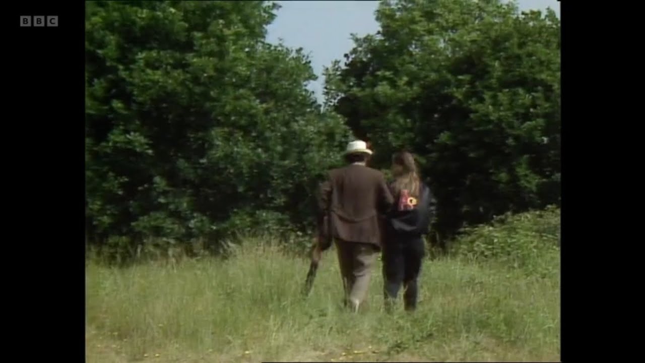 The Final Scene of Classic Doctor Who | Season 26, Survival