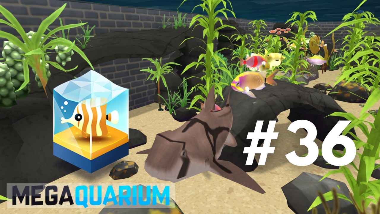 A DIFFERENT SORT OF REEF - Megaquarium (#36)