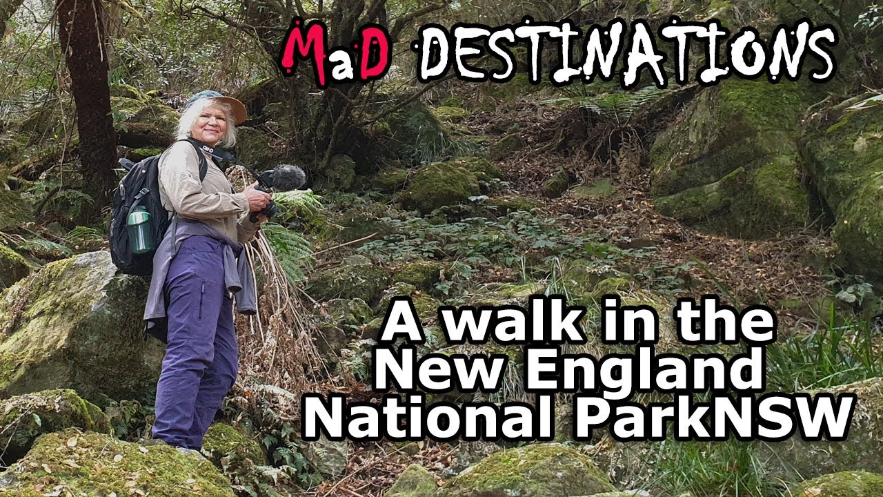 A walk in New England National Park NSW, Australia