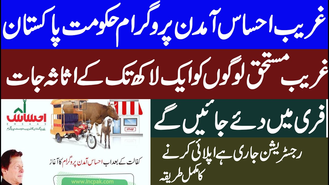 Ehsaas interest free loan|How to apply for Ehsas Program | Ehsas Program Loan process 2020