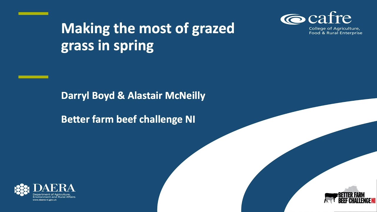 Better Farms Beef Challenge NI - Making the most of grazed grass in spring