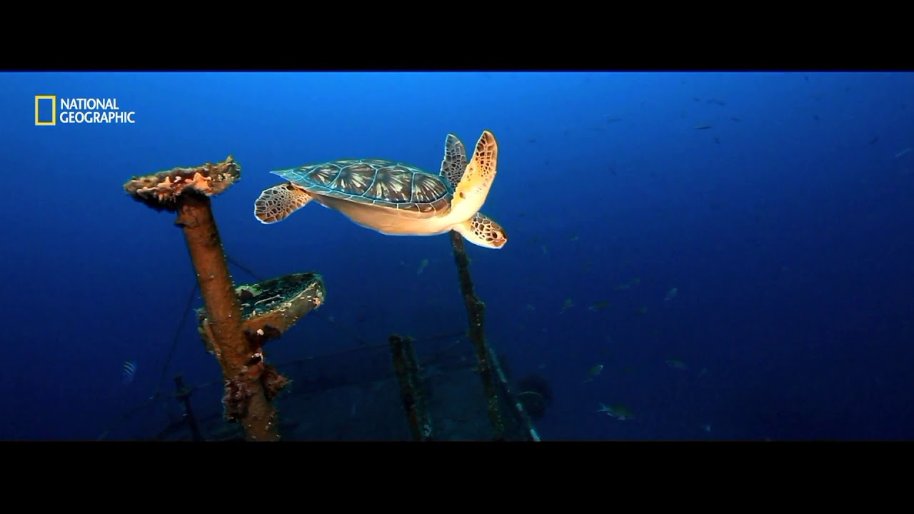 ST EUSTATIUS, DUTCH CARIBBEAN