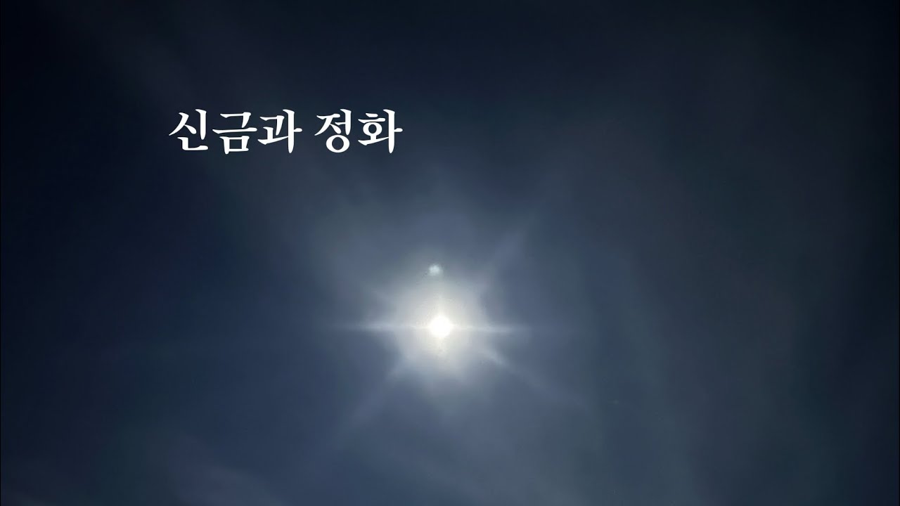 신금과 정화