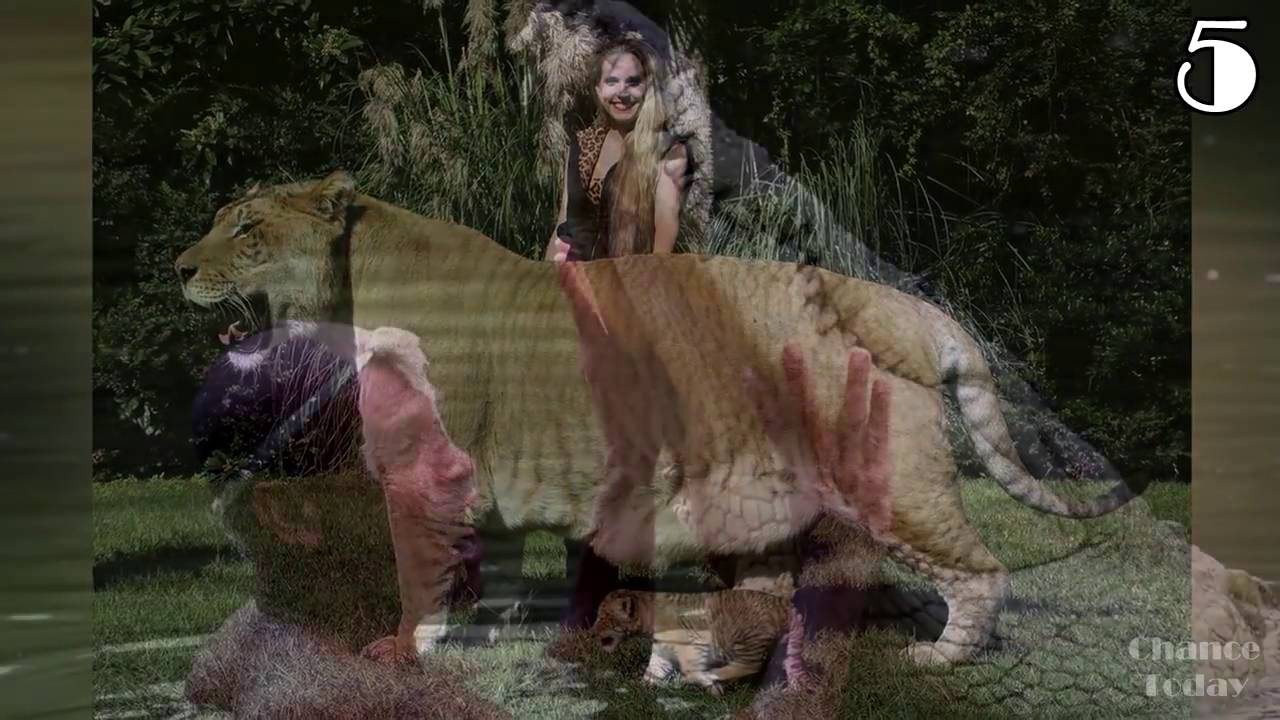 9 НЕОБЫЧНЫХ ЖИВОТНЫХ, В СУЩЕСТВОВАНИЕ КОТОРЫХ ВЫ НЕ ПОВЕРИТЕ 1