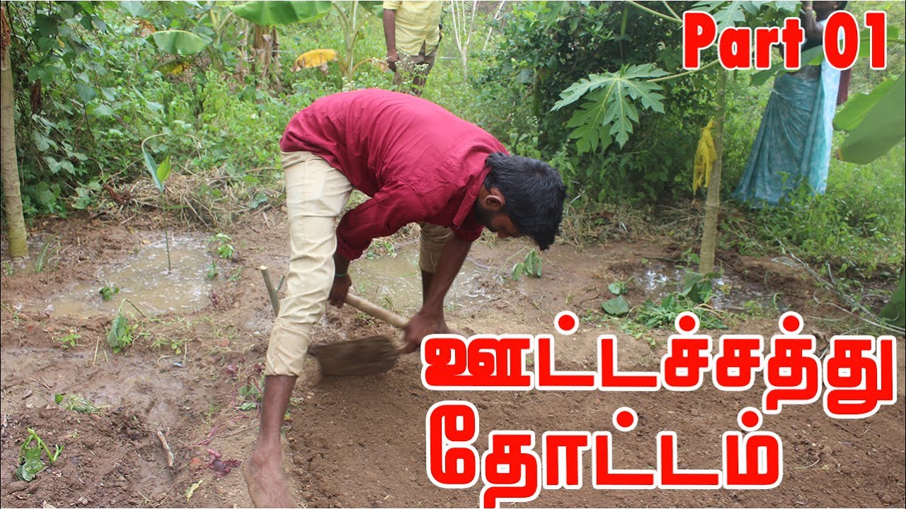 0 சென்ட் முதல் 100 சென்ட் வரை அதிக செலவு இல்லாமல் உங்கள் கனவு தோட்டத்தை எவ்வாறு வடிவைப்பு PART 1