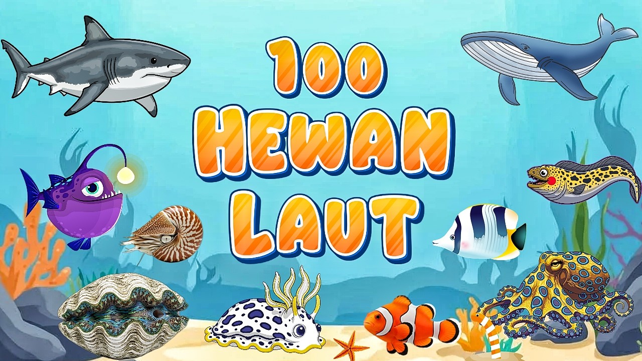 Belajar Mengenal Nama Hewan Laut Lengkap Dari yang Unik sampai yang Jarang di Ketahui|Edukasi Anak