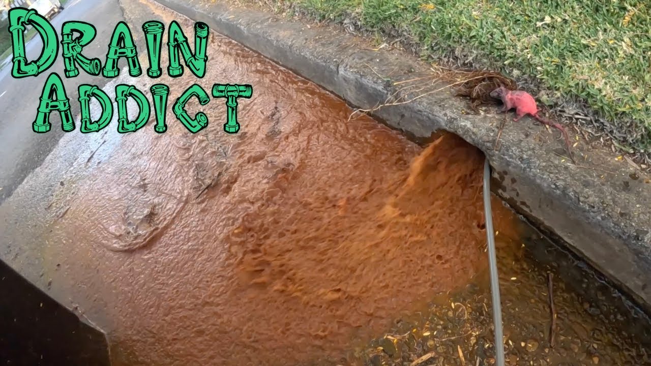 Blocked Drain 970