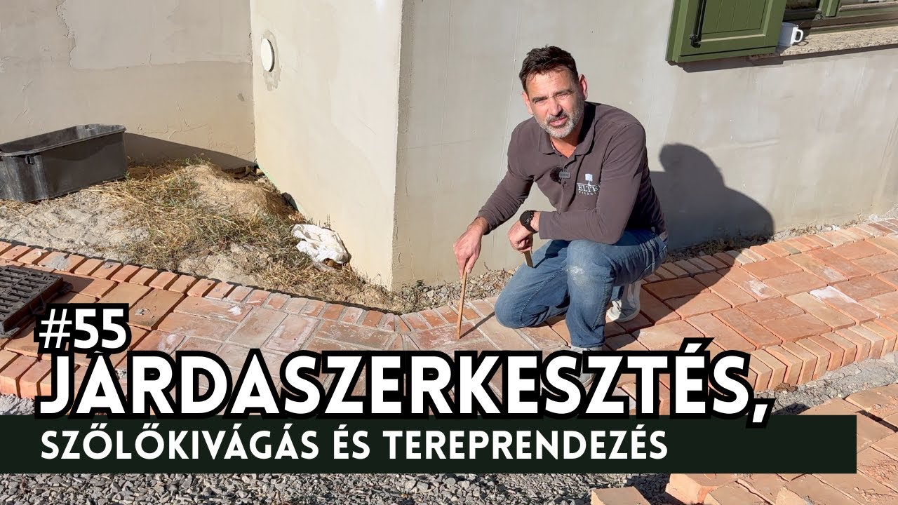 #55 - Járdaszerkesztés, szőlőkivágás és tereprendezés