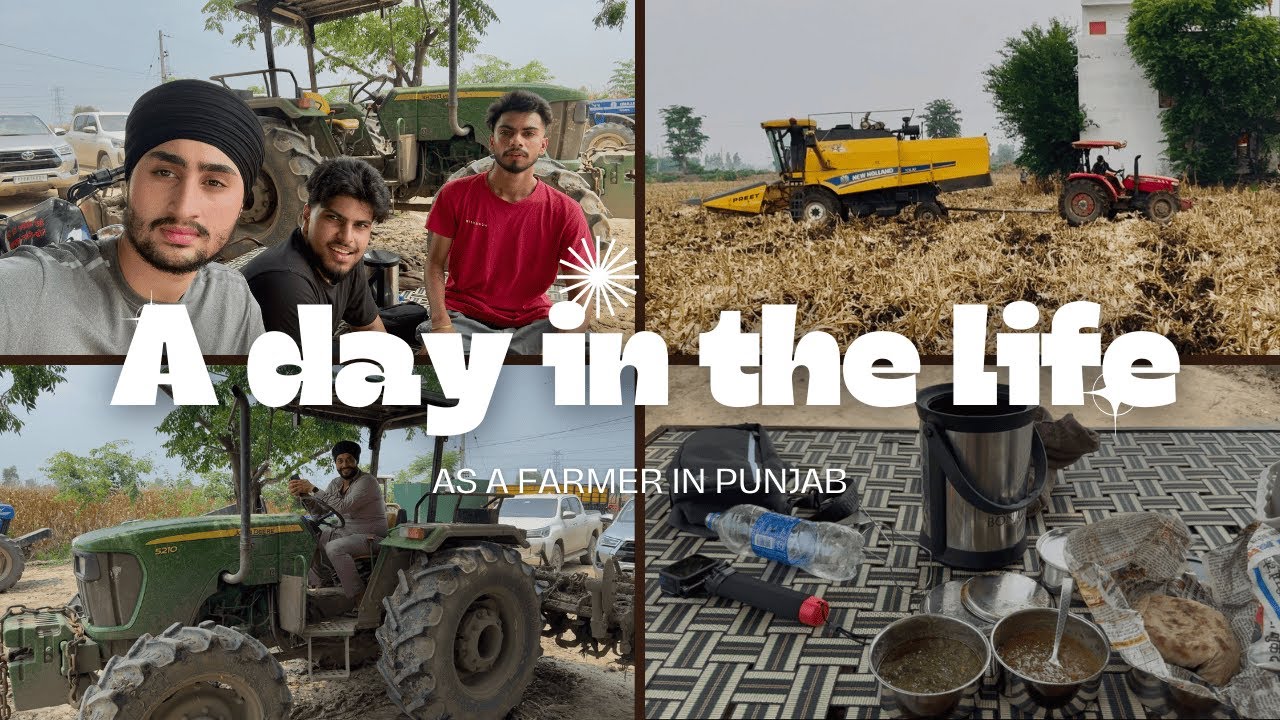 A DAY IN THE LIFE OF A FARMER IN PUNJAB | MAKKI DA KAM HOYA KHTM| SANDHU FARM | HARVEST SEASON.