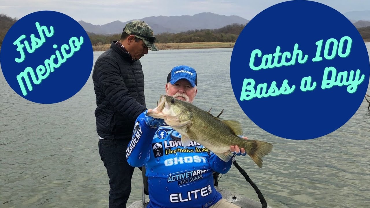 Catch 100 Bass a Day