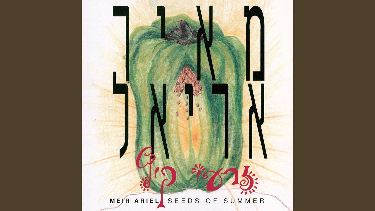 לא תתפוס אותי