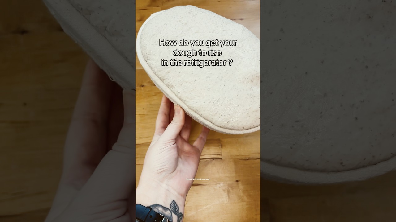 How to get your dough to rise of the refrigerator- #sourdoughforbeginners ￼