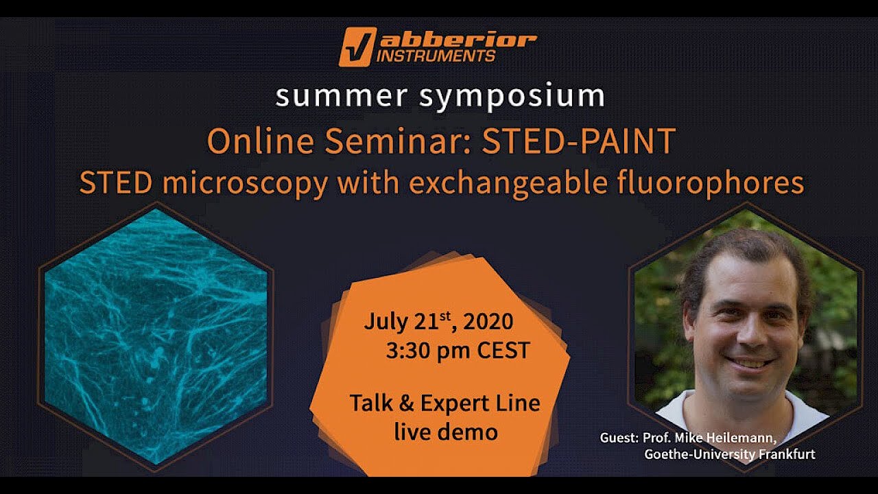 STED-PAINT  STED microscopy with exchangeable fluorophores