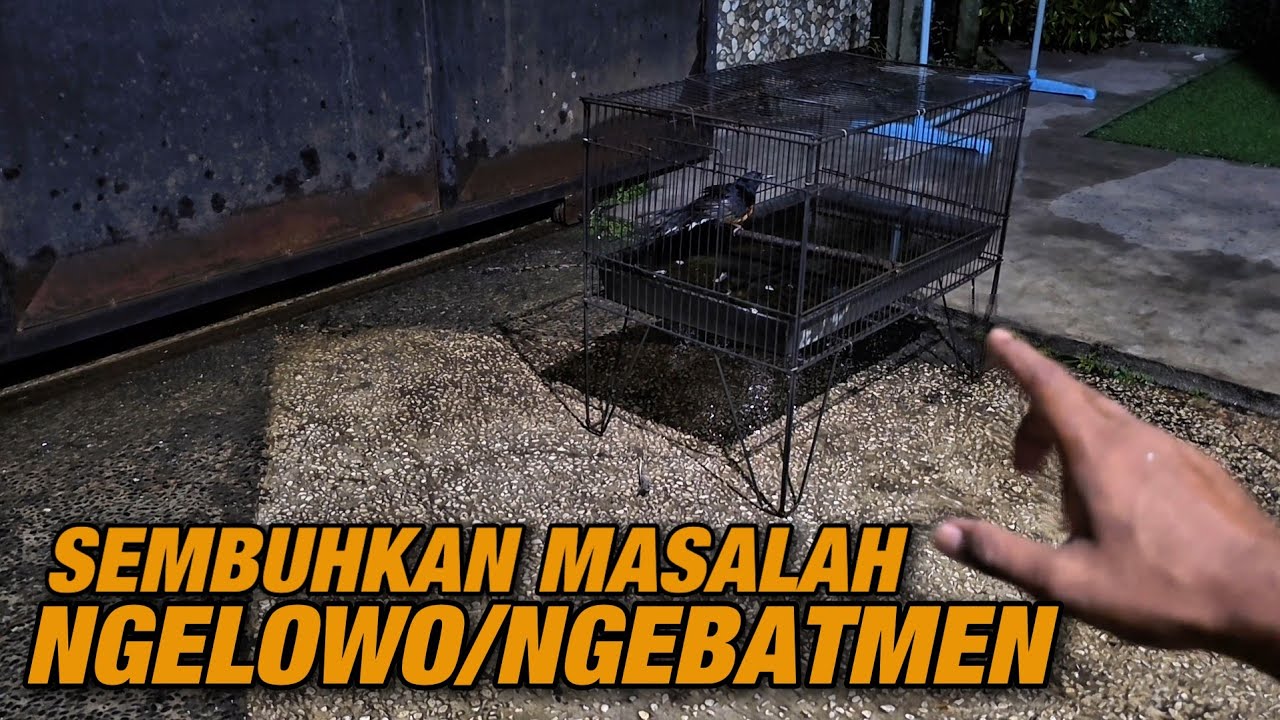 CURE NGELOWO & NGEBETMEN