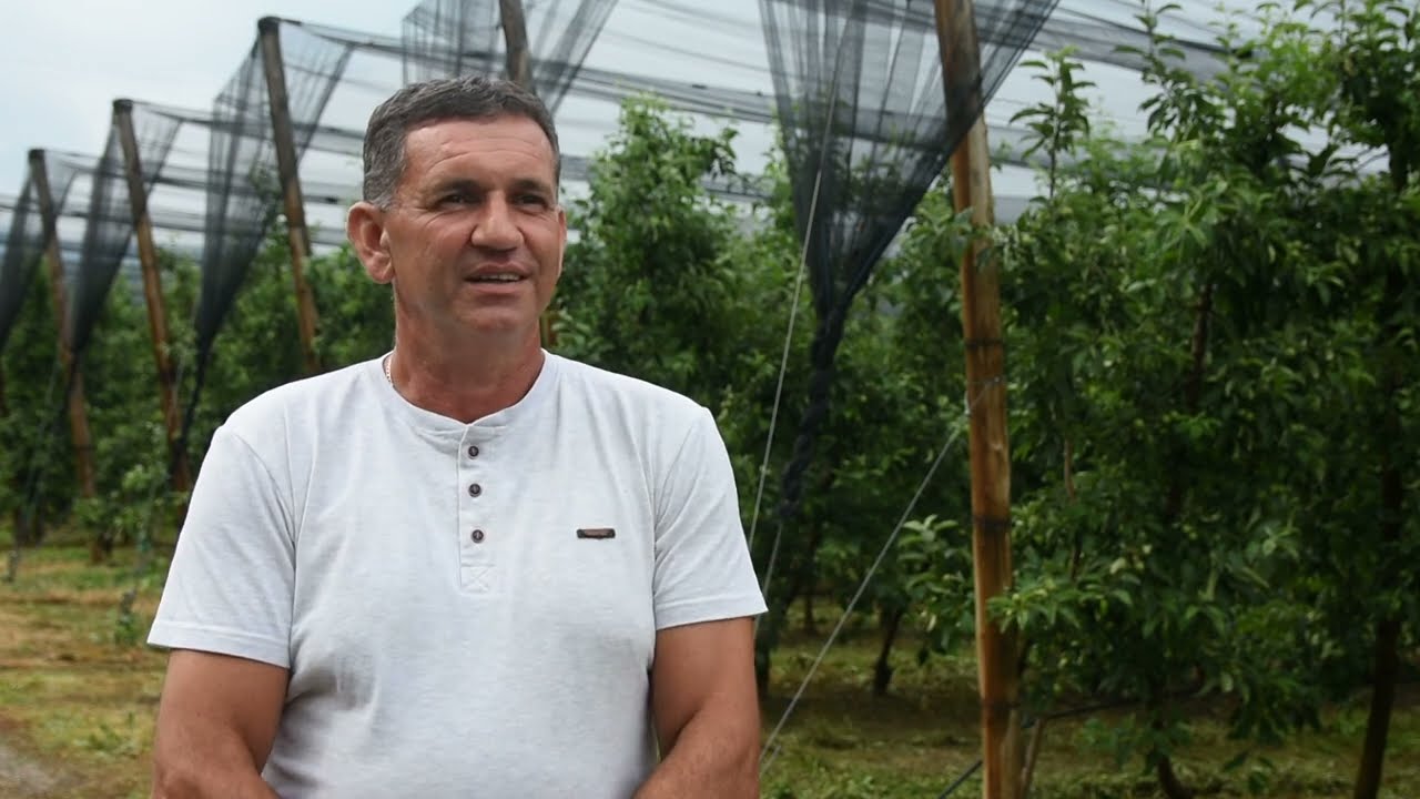 PROFIT ILI PROPAST? Proizvodnja jabuka u Arilju