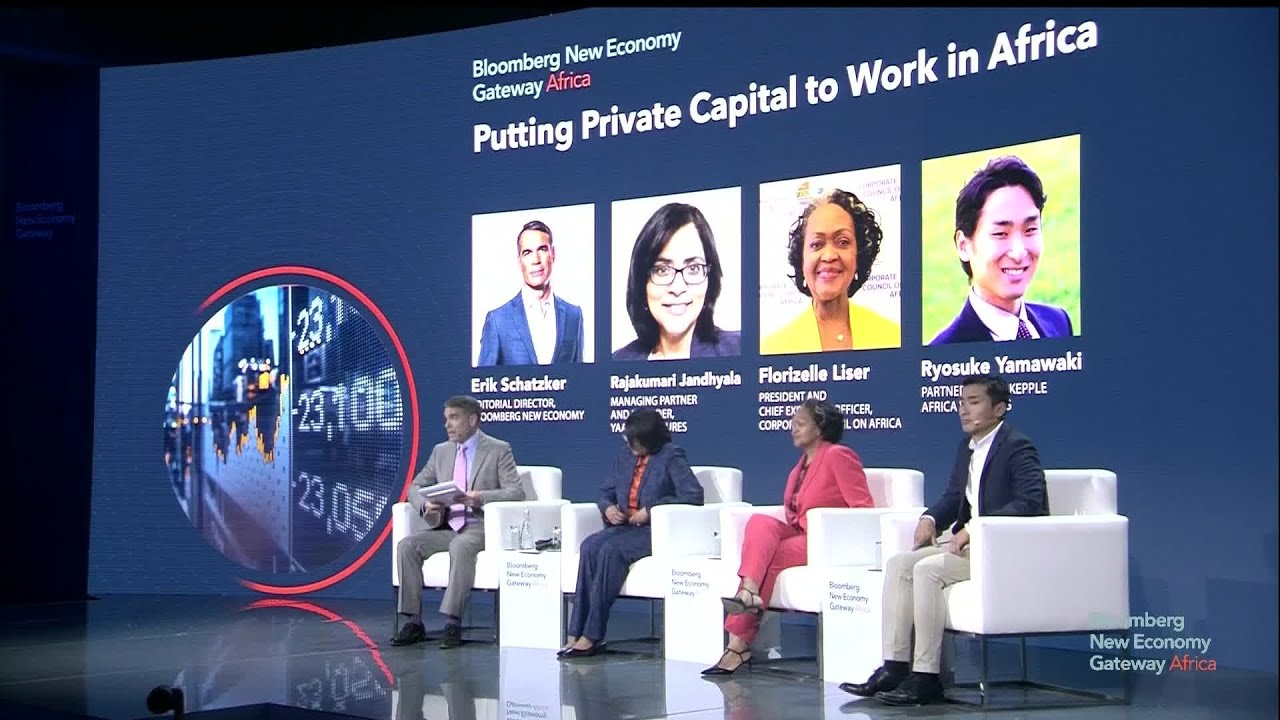 Putting Private Capital to Work in Africa