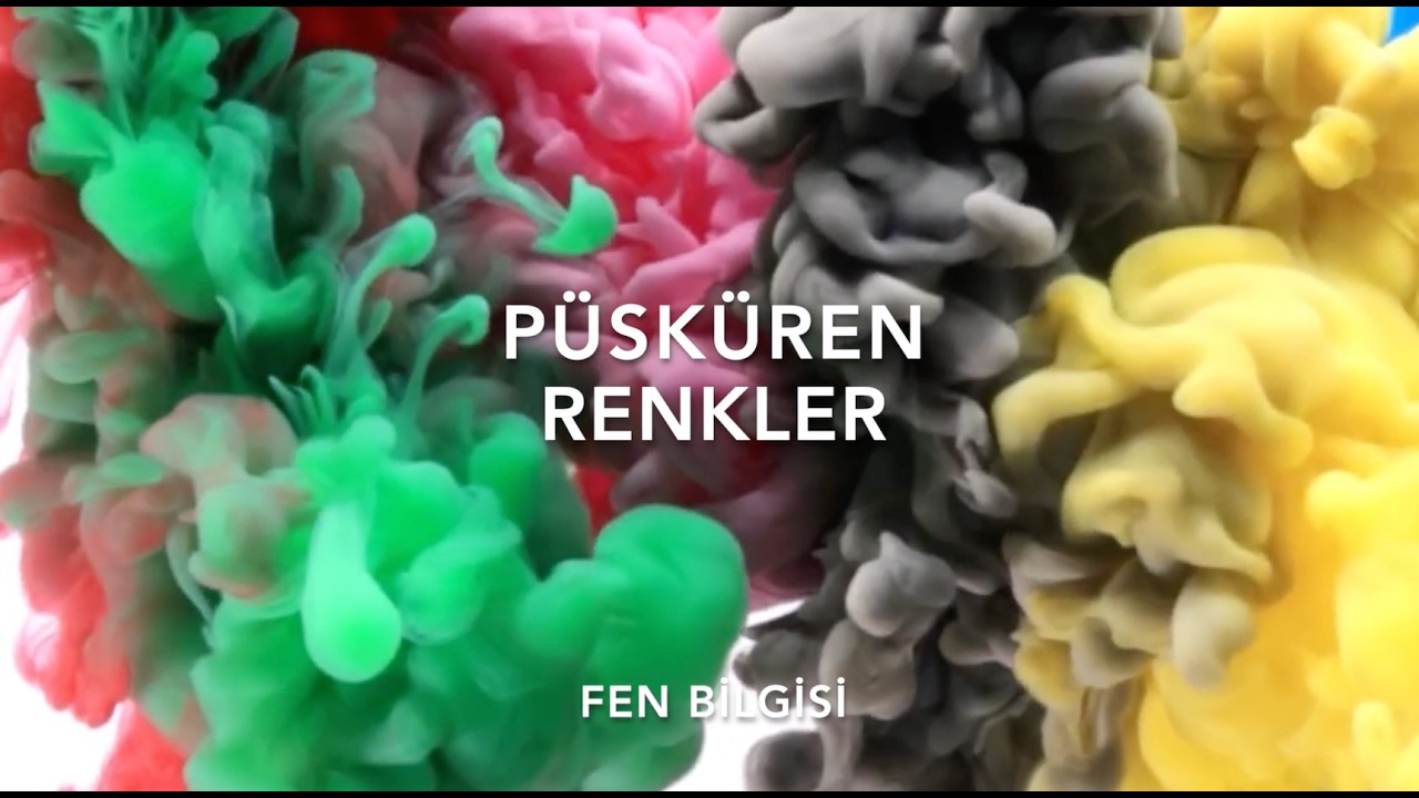Anaokulu  - Püsküren Renkler (Fen Bilgisi)