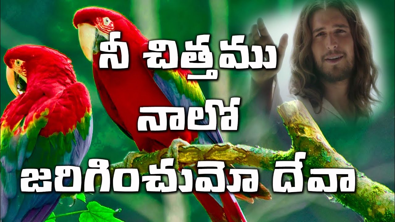నీ చిత్తము నాలో జరిగించుమో దేవ || lyrical Video song 