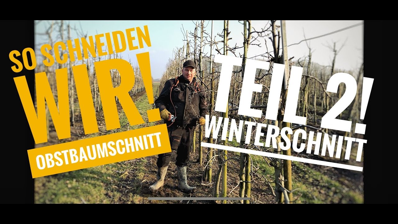 Obsthof Raddatz - Kleiner Einblick in unseren Tag! #9 Teil 2! Winterschnitt!