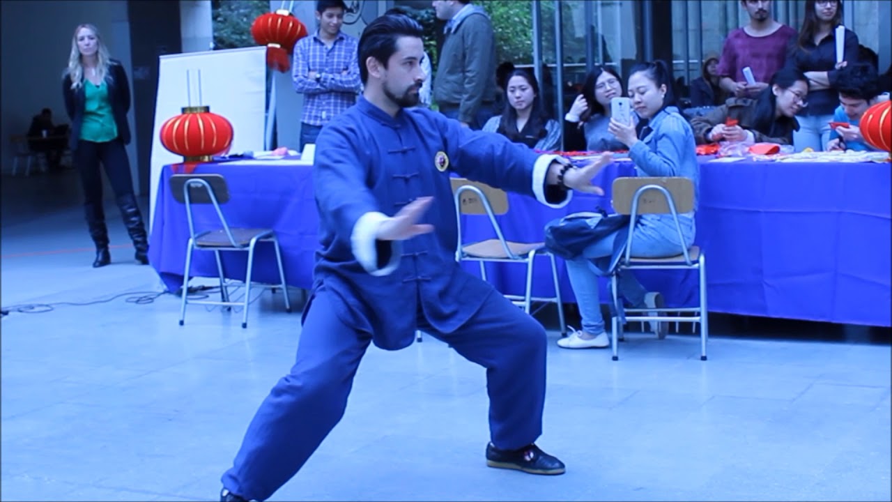 Hong Junsheng Chenshi Taiji Quan
