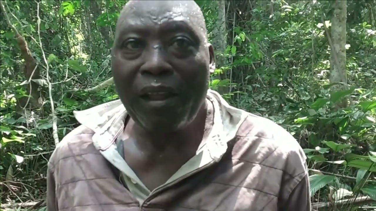 Les merveilles du GABON ' vivez l'instant de l'extension du campement avec les matériels locaux