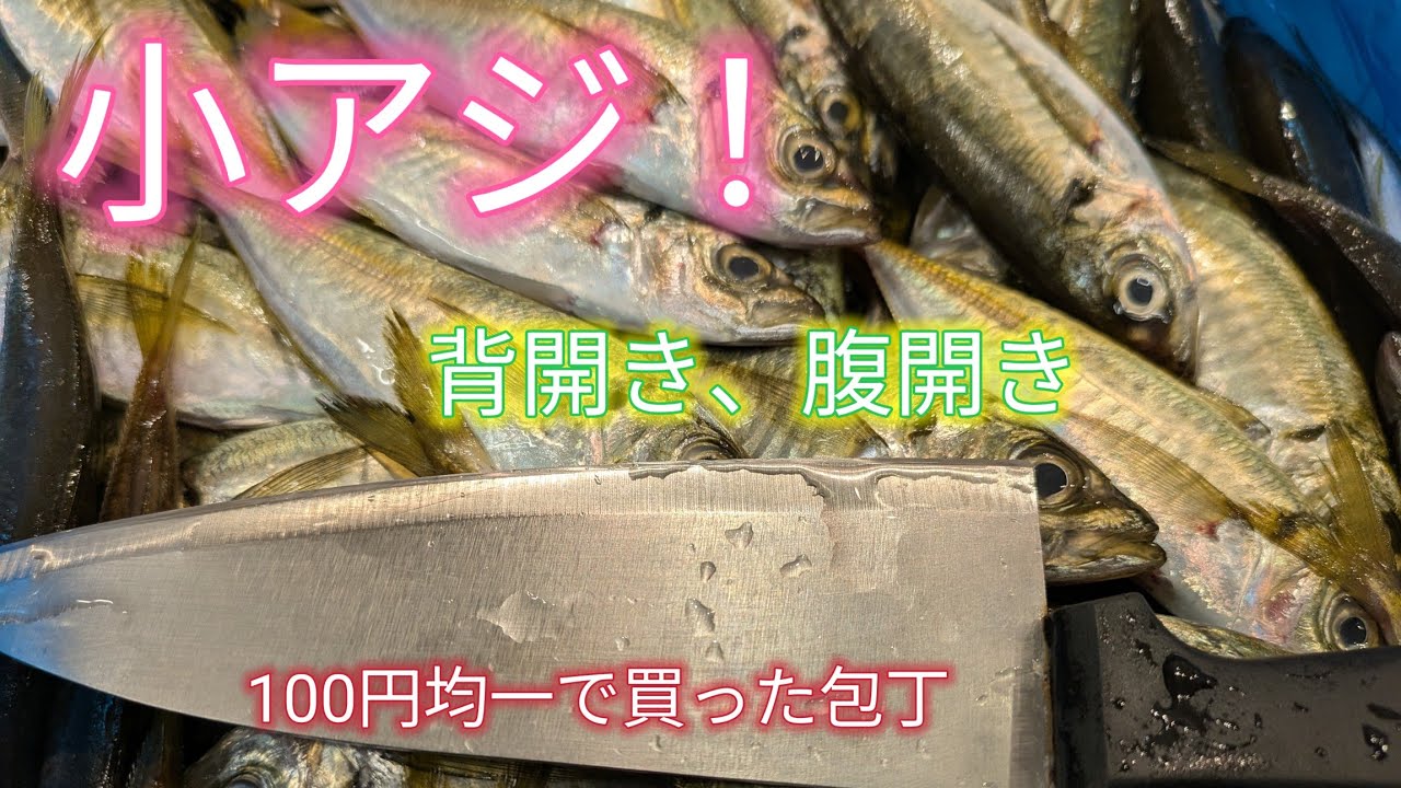 [魚の捌き方]小アジ捌き方フライ用の背開きと腹開き！