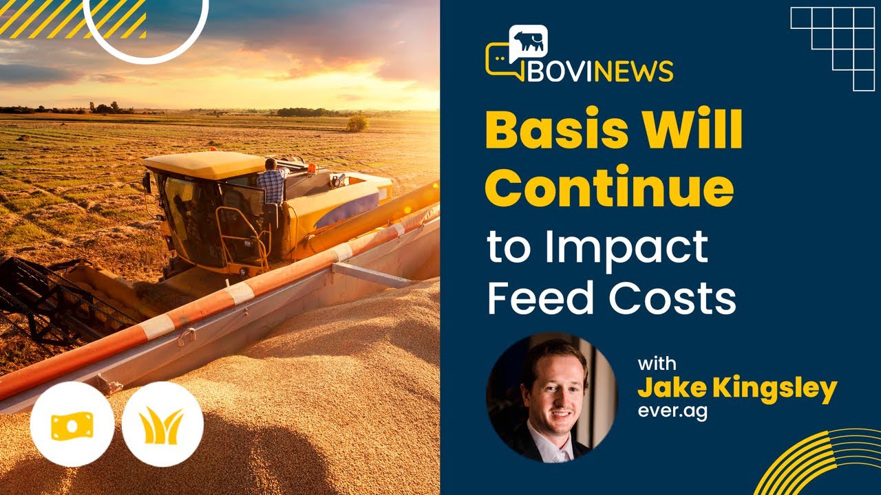High Feed Costs: Basis Will Continue to Impact Feed Costs