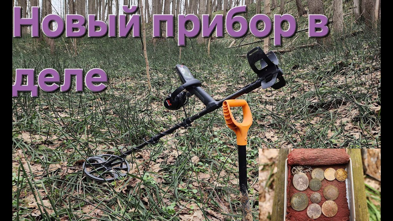 Пополняю коллекцию монет с металлоискателем Minelab Equinox 900